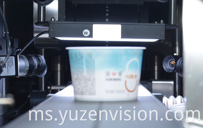 Visual System in Germany